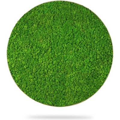 Machový obraz kruh LIŠAJNÍK mono GREEN, priemer 55cm, dubový rám