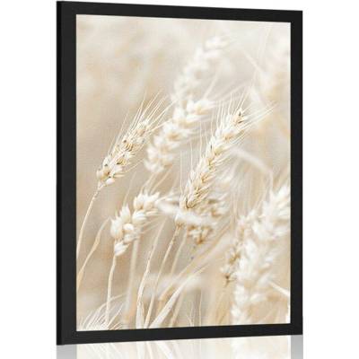 Plakát stébla pšenice - 40x60 white