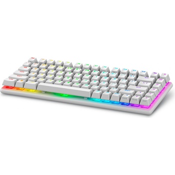 Dell Alienware Pro Wireless Gaming Keyboard 545-BBFR