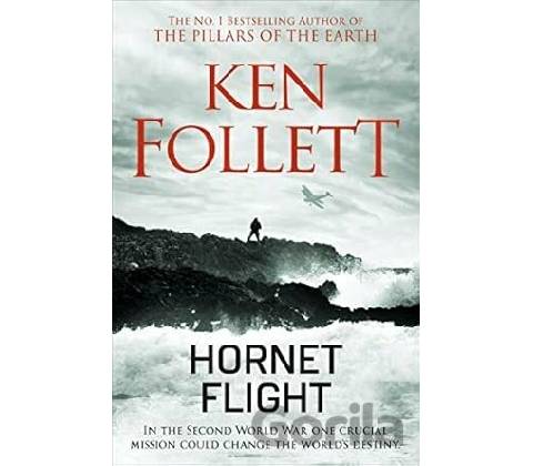 Hornet Flight
