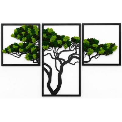 Machový obraz - strom TRIO Veľkosť rámu: 94cm x 59cm