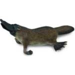 CollectA Dziobak australijski M