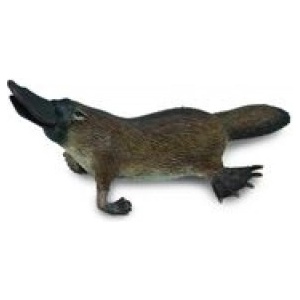 CollectA Dziobak australijski M