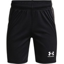 Under Armour shorts UA Woven Graphic shorts RED