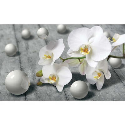 ForWall 3D Fototapeta Orchidej vlies 208 x 146 cm