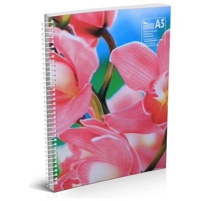 Тетрадка, a5, широки редове, 2 теми, офсетова хартия, метална спирала, мека корица, 80 листа (537-оп.20)