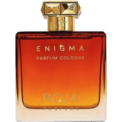 Roja Enigma Pour Homme parfémovaná voda pánská 100 ml