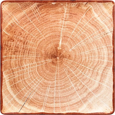 RAK Porcelain Woodart tanier štvorcový 30 x 30 cm svetlo hnedá WDEDSQ30TB-6