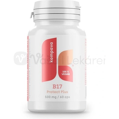 KOMPAVA B17 Protect Plus 60 kapsúl