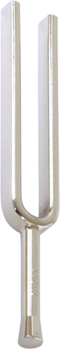 Wittner 924