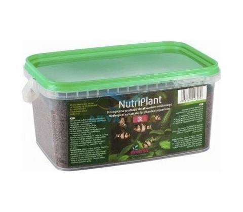 Diversa NutriPlant 3 l