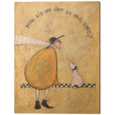 Obraz na plátne Sam Toft - How Dis We Get So Old, Doris?, 2 - 30×40 cm