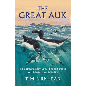 The Great Auk | BIRKHEAD TIM (ISBN: 9781399415743)