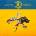 Steve'n'seagulls - Another Miracle CD
