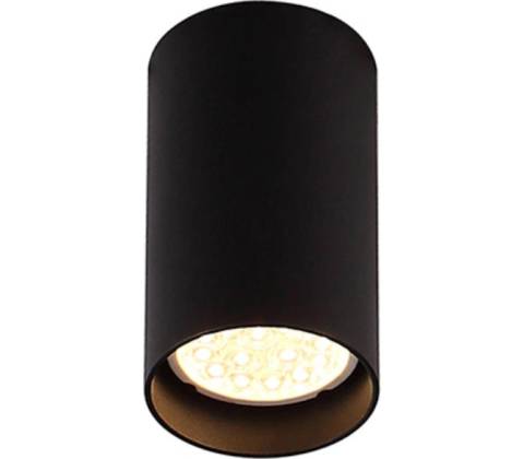 MaxLight C0142