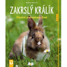 Zakrslý králík