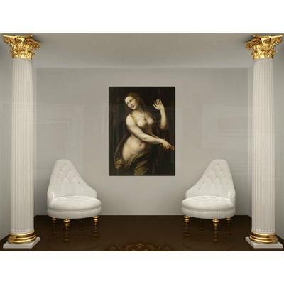 Reprodukce obrazu na plátně - Leonardo da Vinci REP264 - Leonardo da Vinci REP264 - 30x40 cm