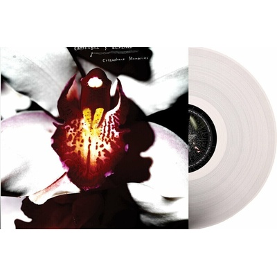 David Lynch - Cellophane Memories LP