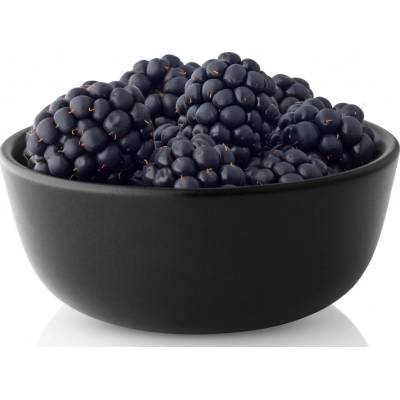 Eva Solo Bowl Nordic Kitchen miska 500 ml 502767 10 cm