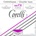 Corelli BASS 360TX