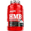 Aminokyseliny Amix Glutamine + BCAA 360 kapsúl