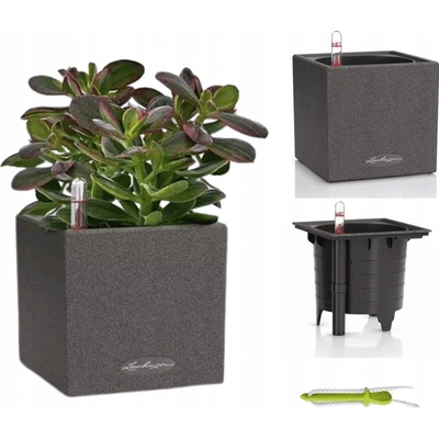 Lechuza Canto Stone Square 14 Graphite komplet