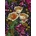 Interdruk - Puzzle Colorful flowers plants - 1 000 piese