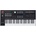 ASM Hydrasynth Keyboard