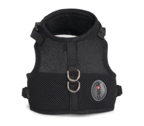 CAMON POSTROJ MESH DOGS