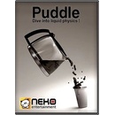 Puddle