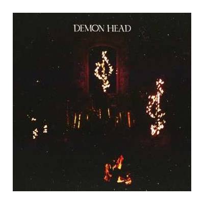 Demon Head Through Holes Shine The Stars CD