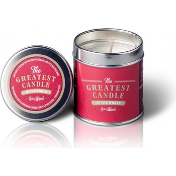 The Greatest Candle in the World Spice Wood 200 g