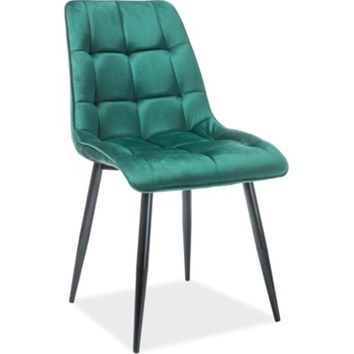 Signal Chic zelená / černá