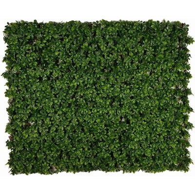 SCHEFFLERA EXT, rozmer 1,0x2,0 m