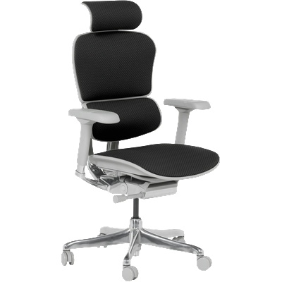 Ergohuman Ергономичен стол ergohuman elite 2 - сива рамка - черен (3520665)