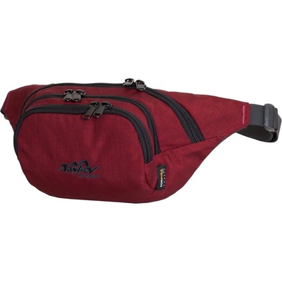 Tashev Outdoors Чантичка за кръста ТАШЕВ Beetle+