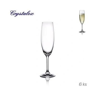 Crystal Bohemia SYLVIA sklenice na šampaňské 6 x 220 ml