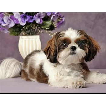 Image 1 of Кученце 15/20см