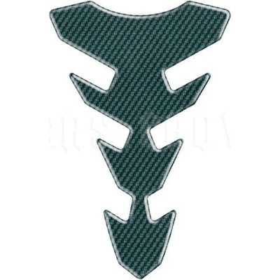 Print CG EXPR-S-Carbon