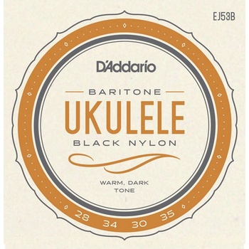 D'addario EJ53B