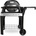 Weber Pulse 2000 (85010079)
