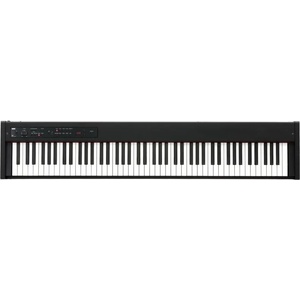 KORG D1