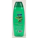 Chopa šampon Kopřiva 500 ml