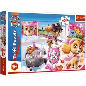 Trefl Paw Patrol Tlapková patrola Skye v akci 16368 100 dílků