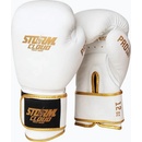 Storm Cloud Boxing Pro