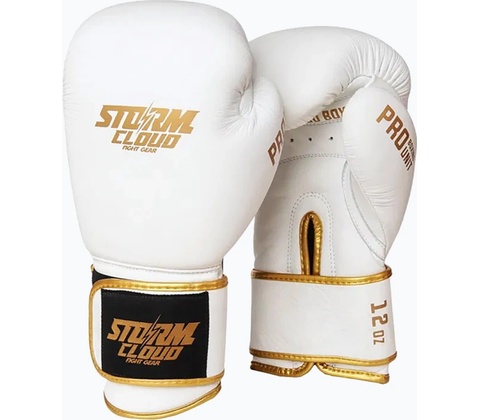 Storm Cloud Boxing Pro