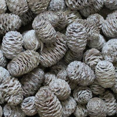 SABULOSUM LOOSE WHITE WASHED POLY BAG ( 1 kg )