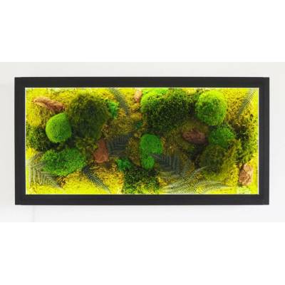 LEDmech Mechový obraz s LED osvětlením 80 x 40 cm