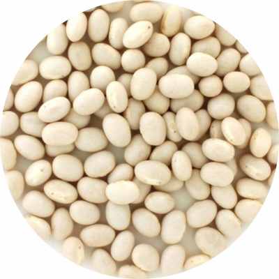 Arax fazole bílá malá 5 kg