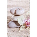 DIMEX ART Флизелинов фототапет дзен 150 x 250 см